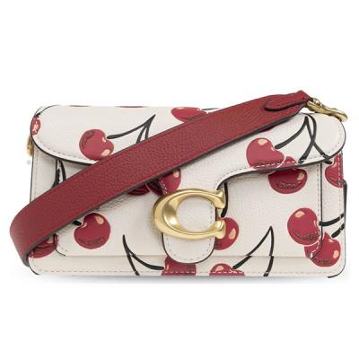 COACH レディースバッグ(柄:果物、フルーツ)の商品一覧 COACH レディースバッグ(柄:果物、フルーツ)の商品一覧