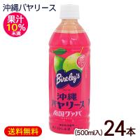 沖縄バヤリース グァバ 500ml×24本　果汁10％　/グァバジュース 沖縄限定 | 沖縄お土産通販 ここち琉球