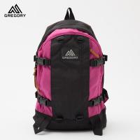 グレゴリー オールデイ [ブラック/フューシャ] GREGORY ALL DAY 22L リュック 日本正規品 | ココチヤ
