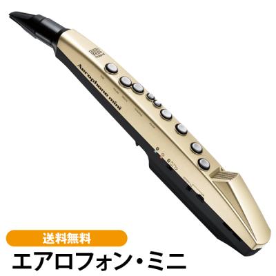 フルート 楽器の商品一覧 通販 - Yahoo!ショッピング