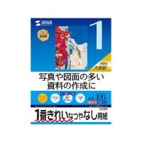 【お取り寄せ】サンワサプライ IJ用スーパーファイン用紙 A3 100枚 JP-EM5NA3-100 Ａ３ マット紙 インクジェット用紙 | ココデカウ