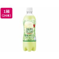 カルピス カルピスソーダ 国産メロンのクリームソーダ 500ml×24本 炭酸飲料 清涼飲料 ジュース 缶飲料 ボトル飲料 | ココデカウ
