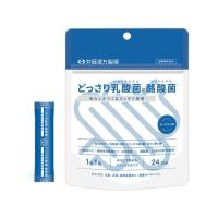 【お取り寄せ】井藤漢方製薬 どっさり乳酸菌と酪酸菌 2g×24袋 サプリメント 健康食品 | ココデカウ
