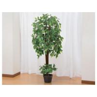 【メーカー直送】ファミリー・ライフ インテリアグリーン ベンジャミン 04220【代引不可】人工植物 フェイクグリーン | ココデカウ