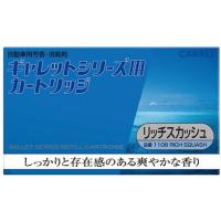 【お取り寄せ】晴香堂/ギャレットシリーズ用カートリッジ リッチスカッシュ/1108 芳香 消臭 カー | ココデカウ