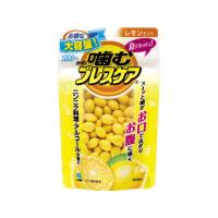 【お取り寄せ】小林製薬 噛むブレスケア パウチレモンミント 100粒 タブレット 粒タイプ 口臭対策 オーラルケア | ココデカウ