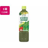 伊藤園 充実野菜 緑の野菜ミックス 740g×15本 野菜ジュース 果汁飲料 缶飲料 ボトル飲料 | ココデカウ