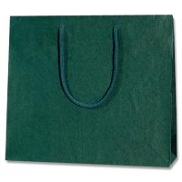HEIKO(ヘイコー):手提げ紙袋 カラーチャームバッグ 3才 グリーン 10枚入り 005320111 5320111 手提げ紙袋 紙袋 袋 3才 | イチネンネット(インボイス対応)