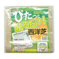 自然応用科学:ぴたっと貼るだけ西洋芝 1平方メートル 4907579901072 | イチネンネット(インボイス対応)