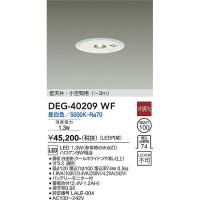 大光電機:ＬＥＤ防災照明                 DEG-40209WF(メーカー直送品) | イチネンネットmore(インボイス対応)