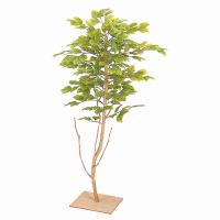 (法人限定)ストア・エキスプレス:人工樹木 ミニブナ 板付き フェイクグリーン 人工観葉植物　90cm | イチネンネットmore(インボイス対応)