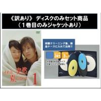 【訳あり】それは、突然、嵐のように… ディスクのみ 全5枚 第1話〜最終話 レンタル落ち 全巻セット 中古 DVD ケース無 | 中古 dvd販売 こづちや ヤフー店