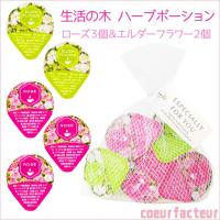 プチギフト 生活の木 ハーブポーション ローズ エルダーフラワー セット 1ページ ｇランキング