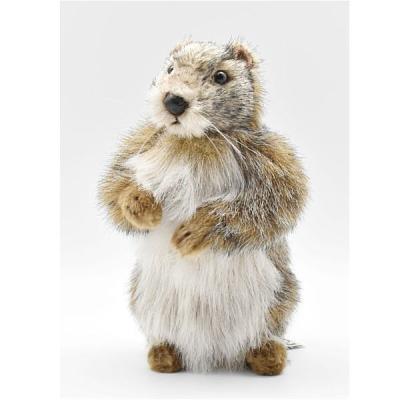 マーモット（ぬいぐるみ）｜おもちゃ | ゲーム、おもちゃ のおすすめ