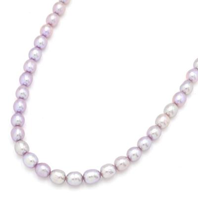 TASAKI 淡水パールネックレス　シルバーチェーン　12珠　パール　真珠 楽天市場】TASAKI 田崎 タサキ SILVER シルバー マベパール 真珠