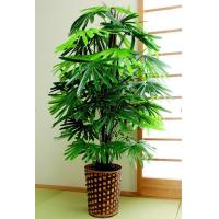 人気の雑貨がズラリ フェイクグリーン 観葉植物 人工 大 フィカスベンジャミン 植木 Tb 1276 01 ガーデニング 庭 ベランダ インテリア ガーデン 室内 グリーン ベンジャミン Aguaguacarhue Cl