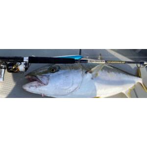 fishing shop Colony ヤフー店 - キャスティングロッド｜Yahoo