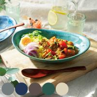 カレー皿 24cm オーバル 窯変 磁器 （ 食洗機対応 電子レンジ対応 オーバル皿 お皿 皿 大皿 楕円 ） | お弁当グッズのカラフルボックス