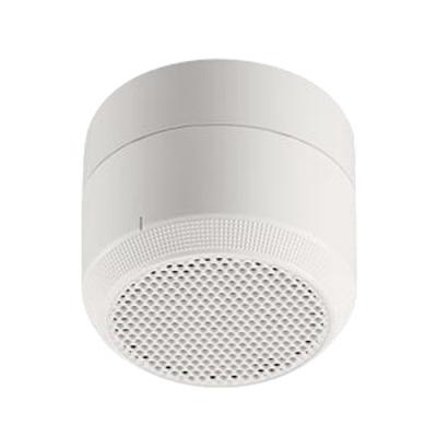 ntn88004の商品一覧 通販 - Yahoo!ショッピング