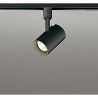 オーデリック 配線ダクトレール用 LEDスポットライト 連続調光 ランプ・調光器別売 OS256494 | 照明器具のCOMFORT