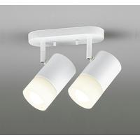 オーデリック LEDスポットライト 高演色 調光・調色 Bluetooth 白熱灯100W×2灯相当 OS256673BR | 照明器具のCOMFORT