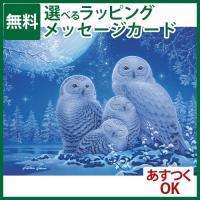 知育玩具/パズル 子供用 Ravensburger ラベンスバーガー 月夜のシロフクロウ 500ピース 動物 ジグソーパズル 入園 入学 | 木のおもちゃコモック Anbau