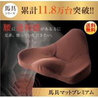 PROIDEA プロイデア 姿勢改善 馬具座椅子 馬具マットプレミアム 腰痛対策 骨盤矯正 クッション  猫背改善 ダイエット 肩凝り  シートクッション ポイント10倍 