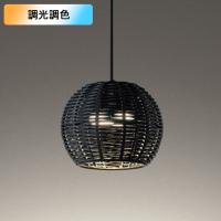 【OP252890BR】オーデリック ペンダントライト 白熱灯器具 40W LED 電球色-昼光色 調色・調光器不可 コントローラー別売 ODELIC | コンパルト
