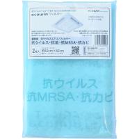 エコファクトリー Ecowinフィルター 業務用 62×62cm ブルー 1パック(2枚) 取り寄せ商品 | コンプモト ヤフー店