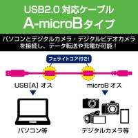 エレコム デジカメ用USBケーブル microB フェライトコア 0.5m DGW-AMBF05BK メーカー在庫品 | コンプモト ヤフー店