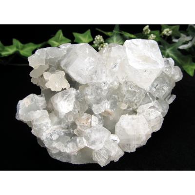 40g 大きめ バイカラー トルマリン 原石 鉱物標本 鉱物の