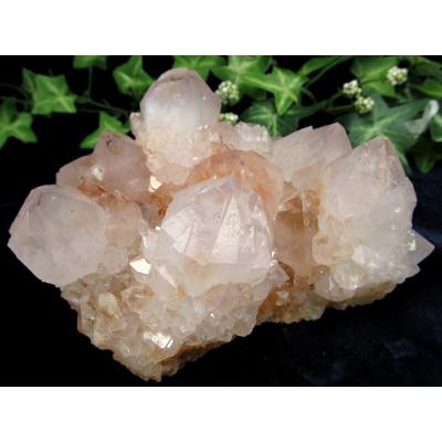 カクタスアメジストのおすすめ人気商品一覧 通販 - Yahoo!ショッピング