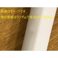 【アウトレット】室内物干し [QL-23-W-outlet] 川口技研 ホスクリーン 室内用物干竿 長さ:1450-2340mm 傷・へこみ・塗装剥がれ・汚れあり未使用 返品不可 | コンパネ屋 Yahoo!ショップ