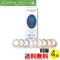 エバーカラーワンデー ナチュラル モイストレーベルUV 20枚入×4箱 / 送料無料 / メール便 | コンタクトクリーン館