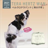 新色グレー登場 犬介護用品 犬腹巻き めちゃ売れ テラヘルツワン ワンニャンテラバンド5014 小型犬 中型犬 ネコポス便ok 大人気商品 5014c 3l クークチュールオンラインショップ 通販 Yahoo ショッピング