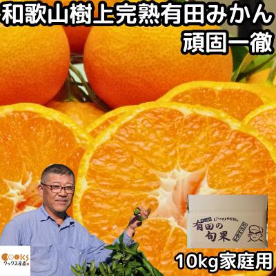 完熟　有田みかん　農家直・数量限定 20キロ　甘い 先行受付・2026年11月～発送》農家直送 完熟有田みかん 5kg サイズ混合