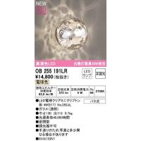 オーデリック　OB255191LR(ランプ別梱)　ブラケットライト 非調光 LEDランプ 電球色 | coordiroom ヤフー店