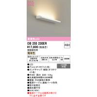 オーデリック　OB255230ER(灯体別梱)　間接照明 非調光 接続線別売 LED一体型 電球色 | coordiroom ヤフー店