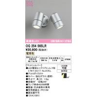 オーデリック　OG254565LR　エクステリア スポットライト LEDランプ 電球色 防雨型 マットシルバー | coordiroom ヤフー店