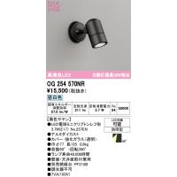 オーデリック　OG254570NR(ランプ別梱)　エクステリア スポットライト LEDランプ 昼白色 防雨型 黒色サテン | coordiroom ヤフー店