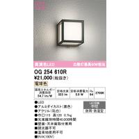 オーデリック　OG254610R　エクステリア ポーチライト LED一体型 電球色 防雨・防湿型 ブラック | coordiroom ヤフー店