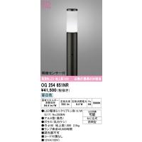 オーデリック　OG254651NR(ランプ別梱)　エクステリア ガーデンライト LEDランプ 昼白色 明暗センサー付 防雨型 ブラック | coordiroom ヤフー店