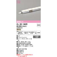 オーデリック　OL291392R　間接照明 L600 非調光 接続線別売 LED一体型 電球色 | coordiroom ヤフー店