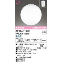 オーデリック　OP034119NR(ランプ別梱)　ペンダントライト 非調光 LEDランプ 昼白色 フレンジタイプ | coordiroom ヤフー店