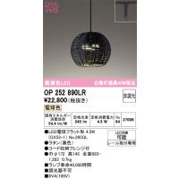 オーデリック　OP252890LR(ランプ別梱)　ペンダントライト 非調光 LEDランプ 電球色 プラグタイプ 黒色 | coordiroom ヤフー店