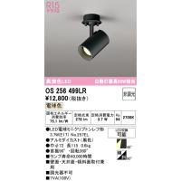 オーデリック　OS256499LR(ランプ別梱)　スポットライト 非調光 LEDランプ 電球色 フレンジタイプ ブラック | coordiroom ヤフー店