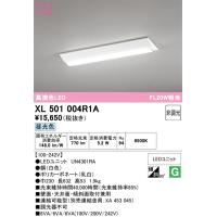 オーデリック　XL501004R1A(LED光源ユニット別梱)　ベースライト W230 非調光 LEDユニット交換型 昼光色 直付型 | coordiroom ヤフー店