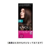 コーセー　スティーブンノル 　カラークチュール 　液状ヘアカラー　６Ｂ　ミディアムブラウン  ..送料無料 | コスメ アべニュー