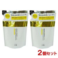 アンレーベル ラボ V リペア シャンプー つめかえ用 310ml×2個セット コスメカンパニー ジェイピーエスラボ 送料込 | コスメボックス