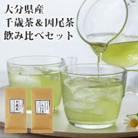 若竹園 大分県産 千歳茶 100g＆因尾茶 100g 飲み比べセット 緑茶 日本茶 九州産 国産 送料無料 | コスメボックス